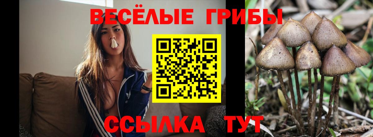 Елизово  Галлюциногенные грибы прущие грибы  Вход с VPN  купить   Псилоцибиновые грибы ЛСД 